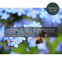 Joyful Wild Forest