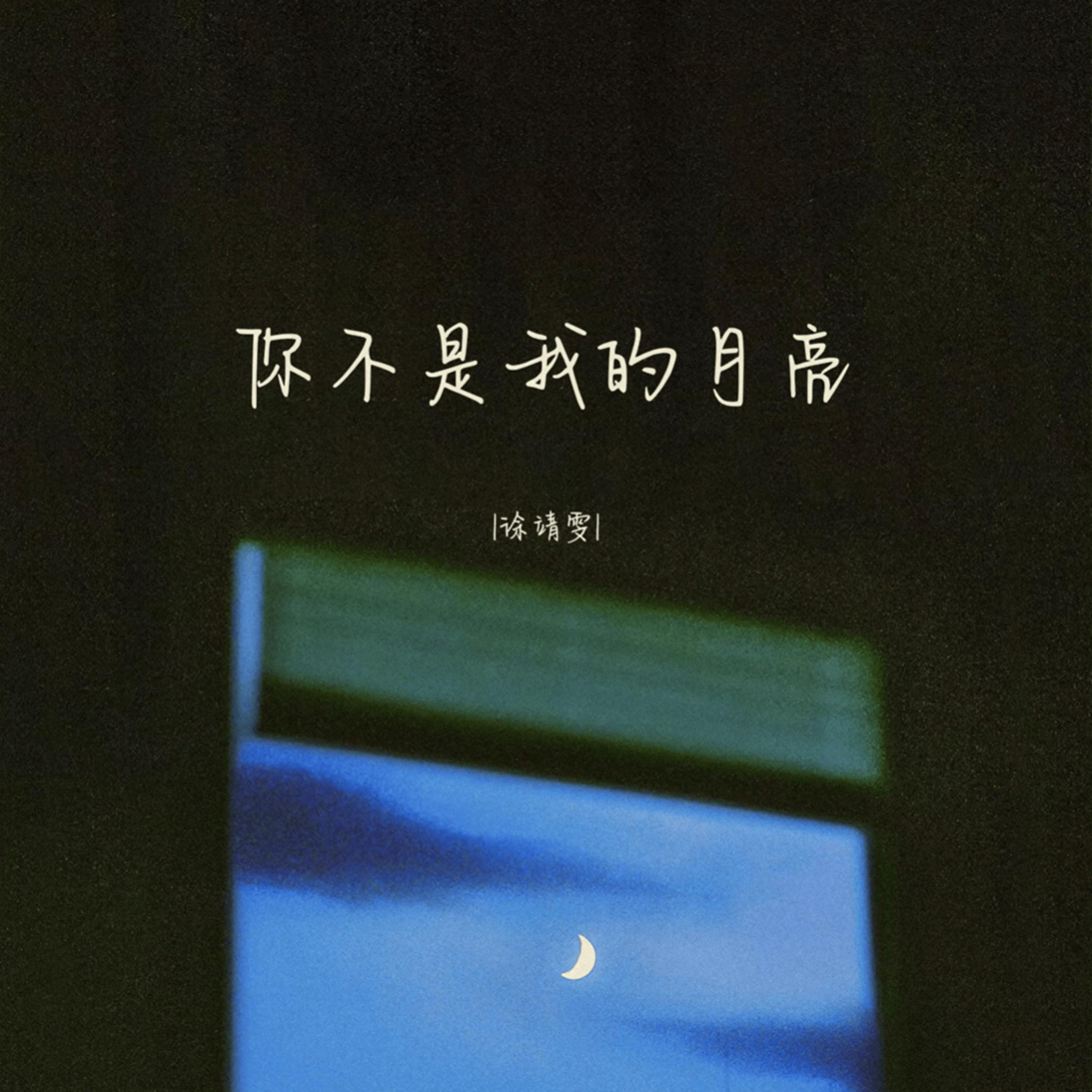 你不是我的月亮 (伴奏) - 徐靖雯封面