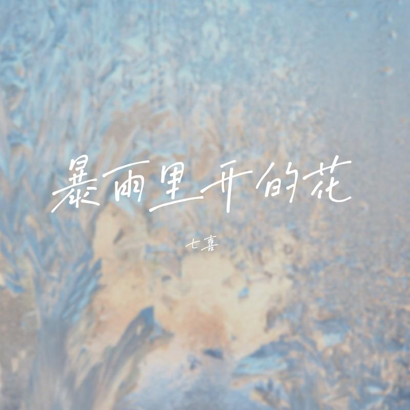 暴雨里开的花封面