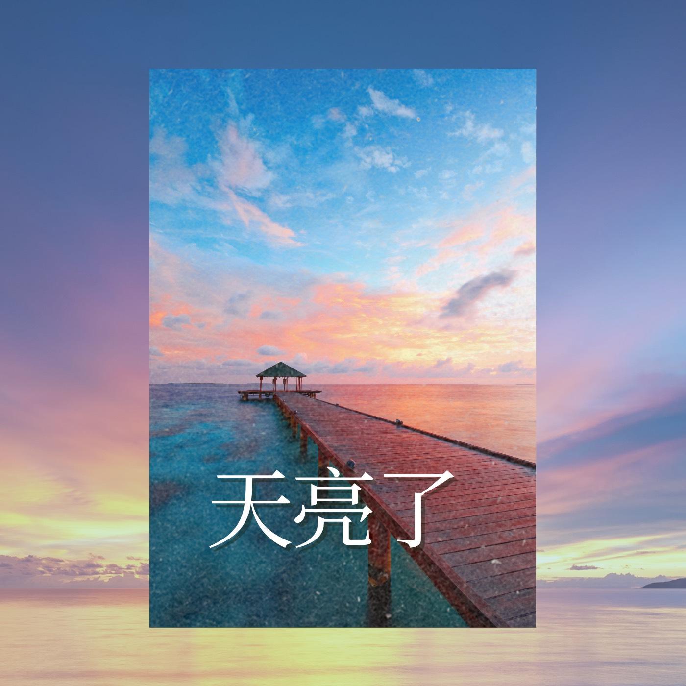 极光禅封面