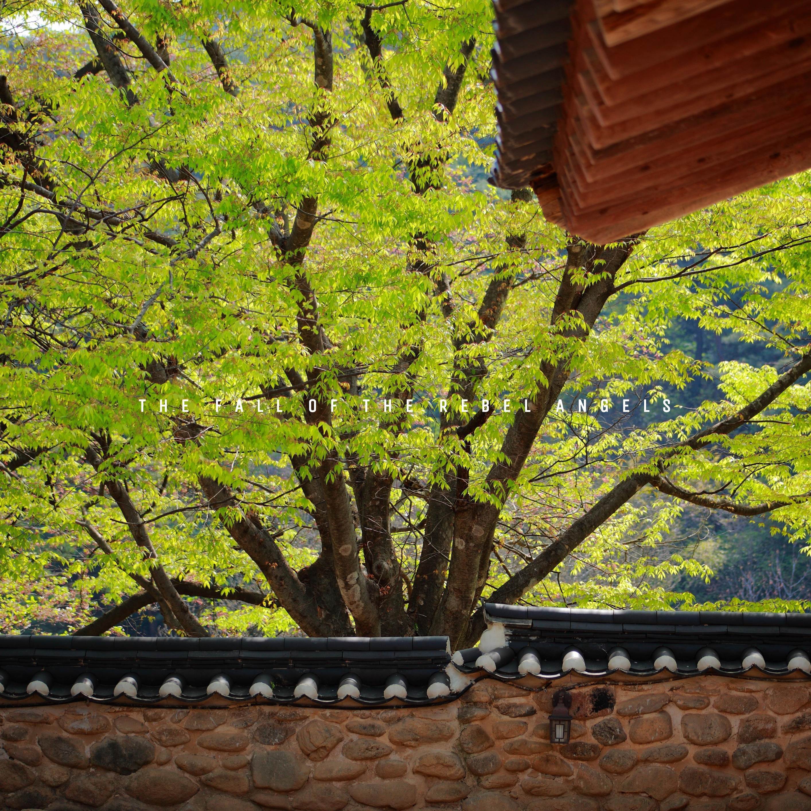 The Fall of the Rebel Angels