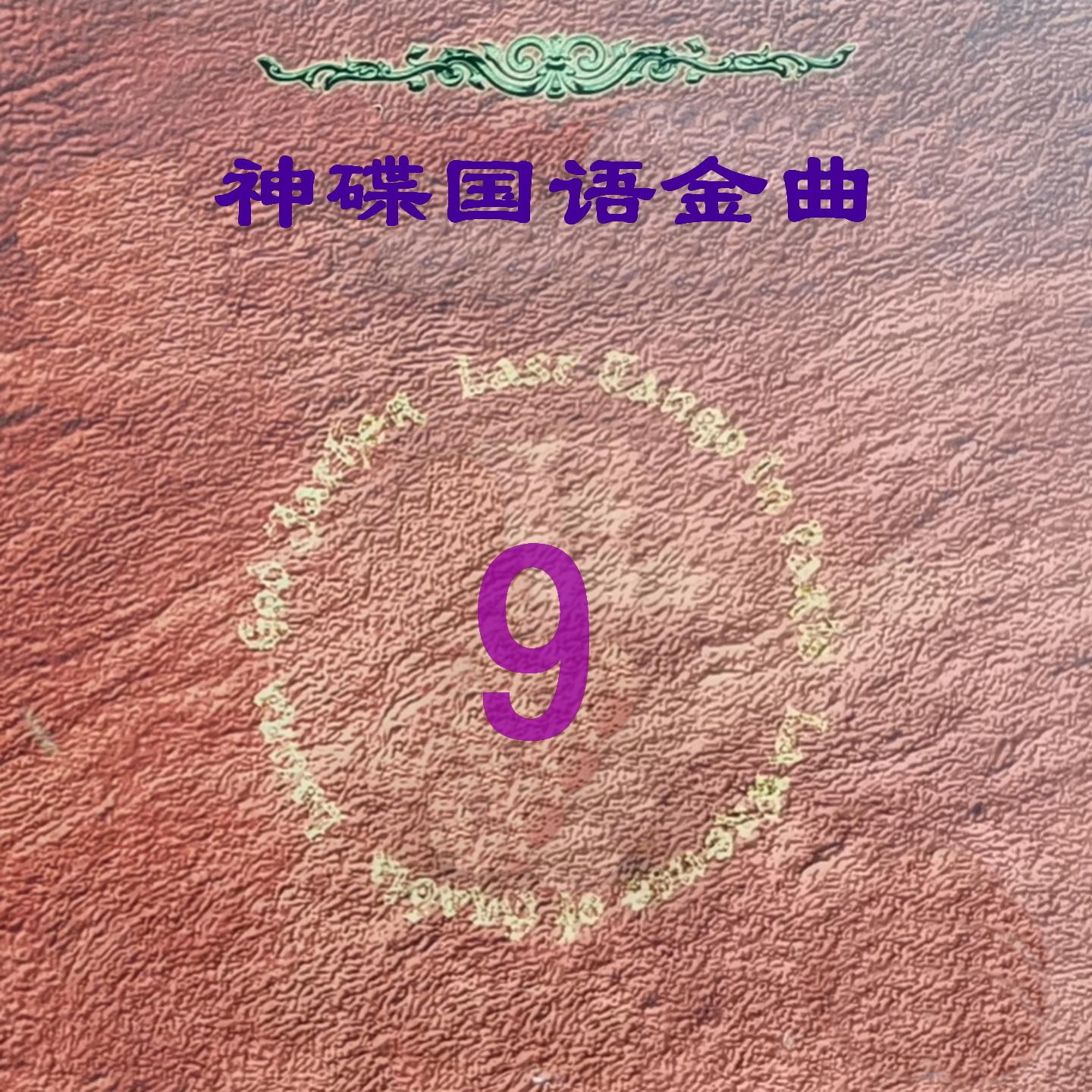 飞越迷雾封面