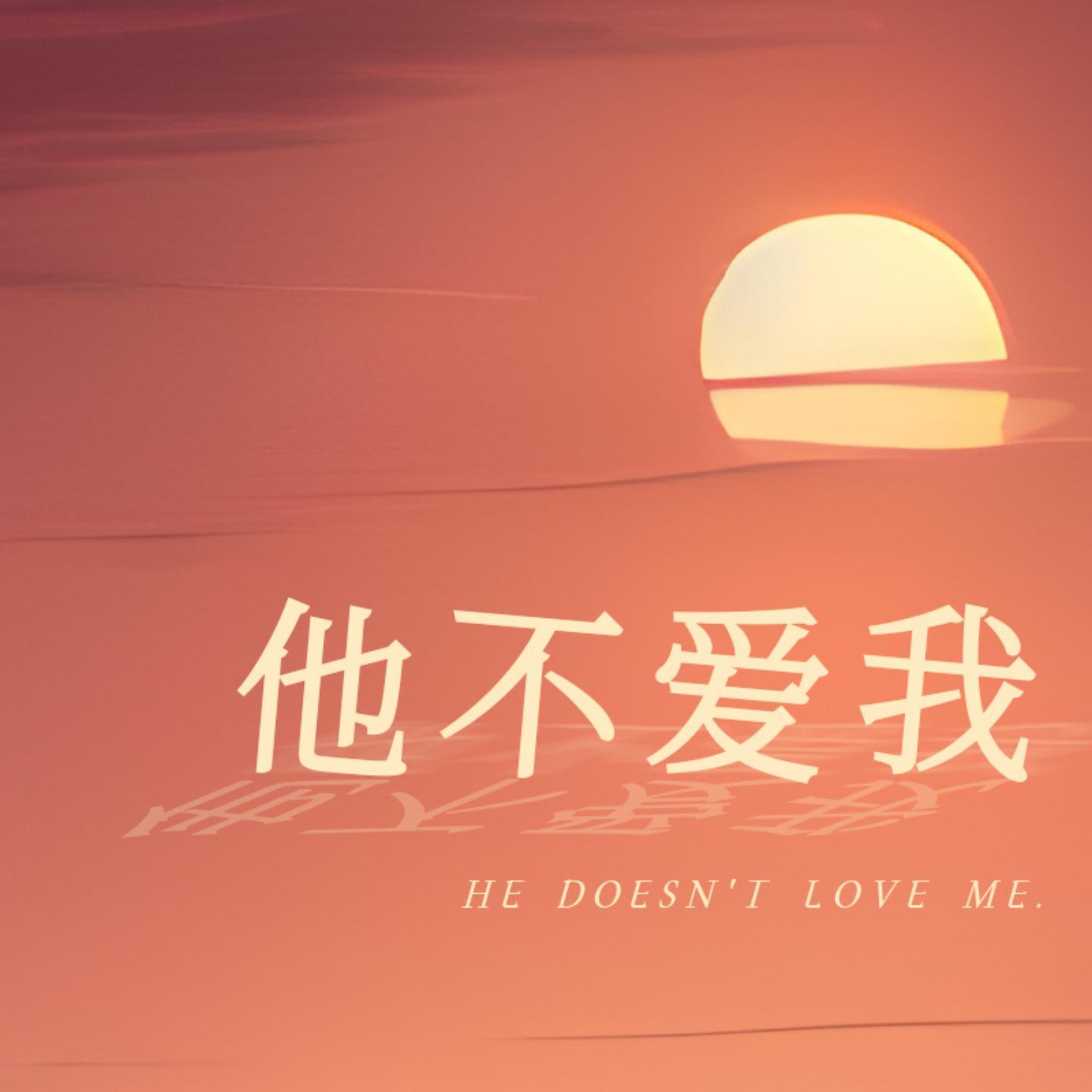 他不爱我 (女声版)封面