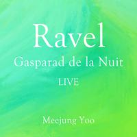 Ravel- Gasparad de la Nuit-밤의 가스파르(LIVE)