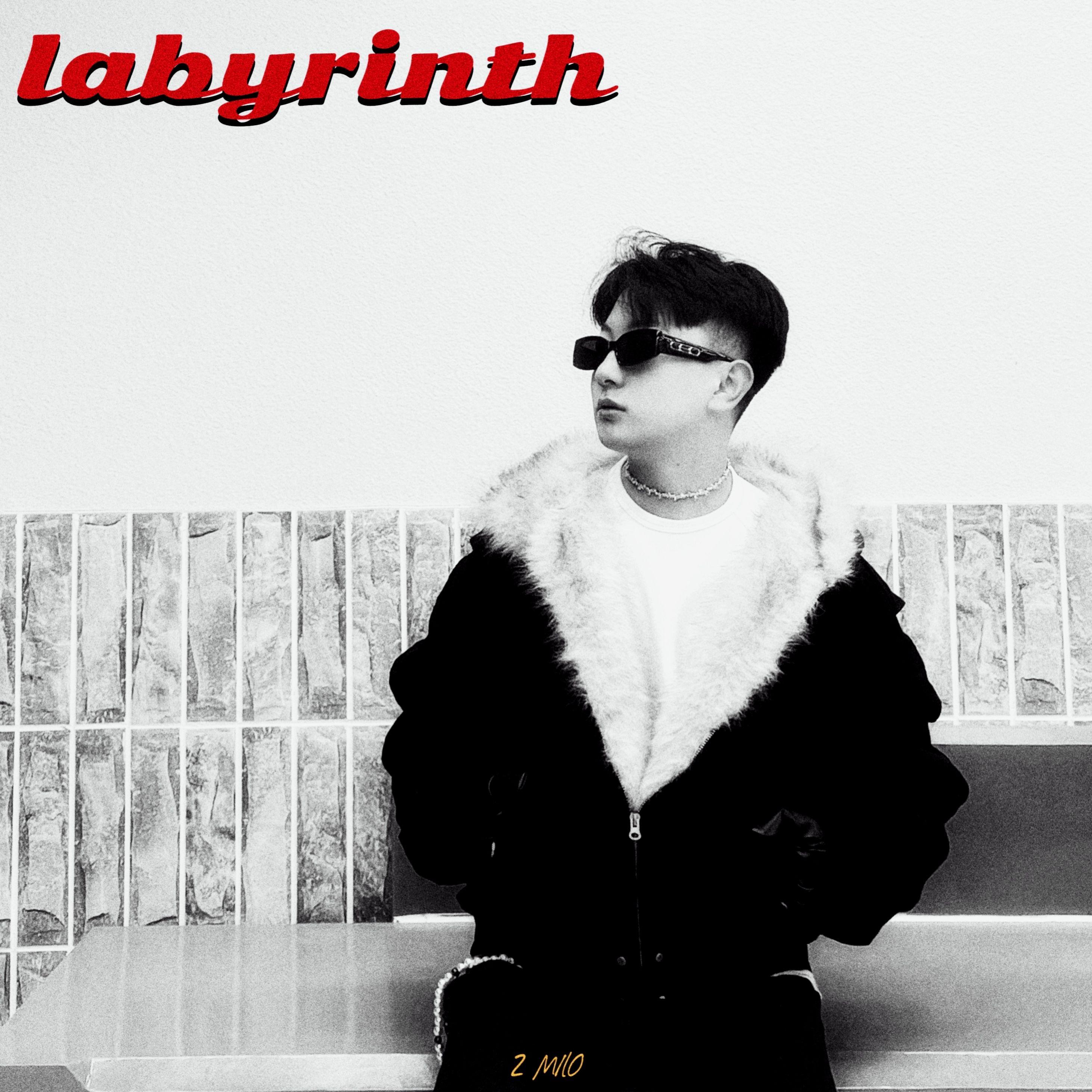 迷宫（Labyrinth）