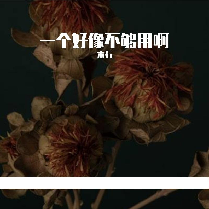 偏爱和例外 - 木石封面