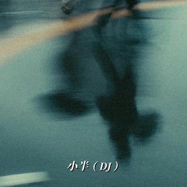 小半（DJ）封面