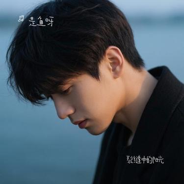 裂缝中的阳光 (Cover 林俊杰) - 是鱼呀封面