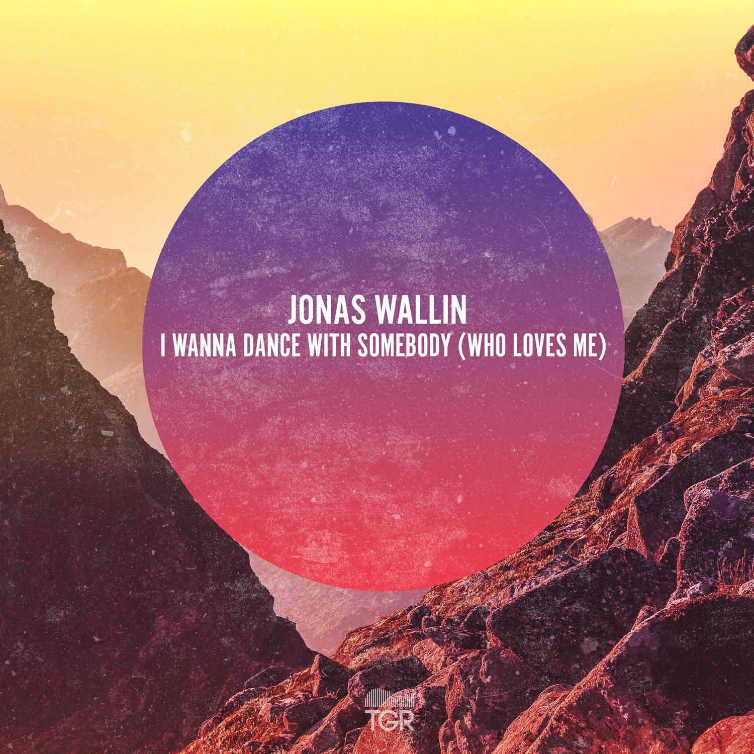 I Wanna Dance With Somebody (Who Loves Me)