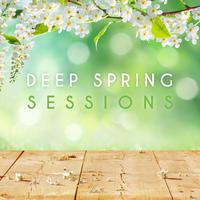 Deep Spring Sessions