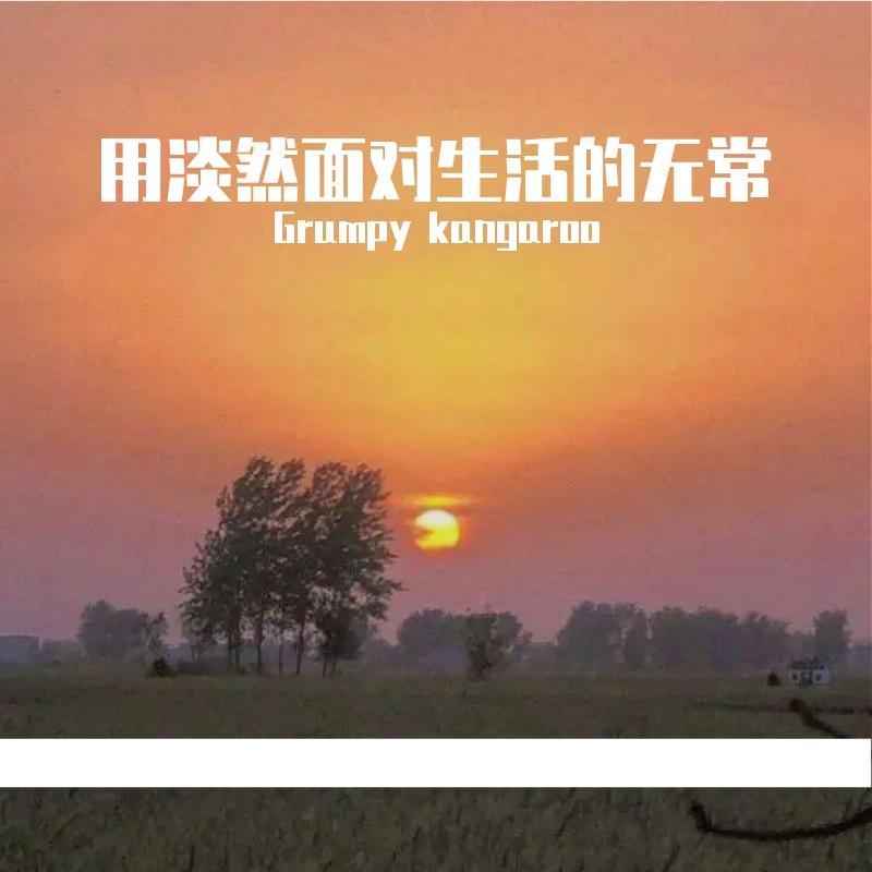 雨中的思念封面