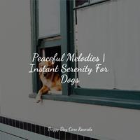 Peaceful Melodies | Instant Serenity For Dogs