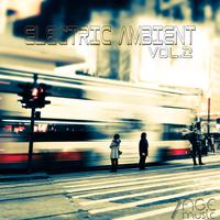 Electric Ambient, Vol. 2