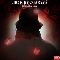 MORPHO Brisé : battement de coeur