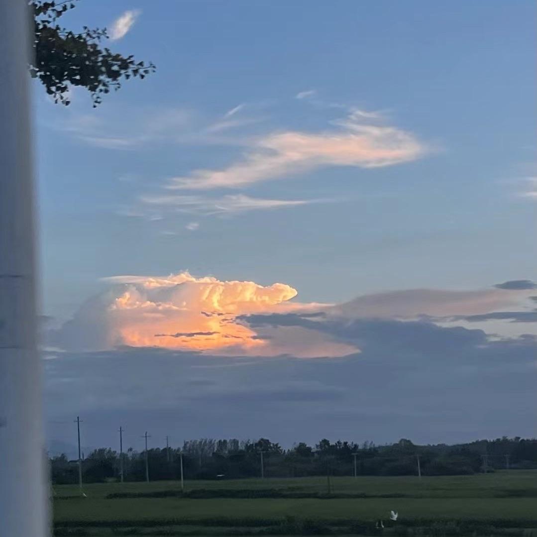 纯音乐-我是一棵葱（艾米莉 remix）