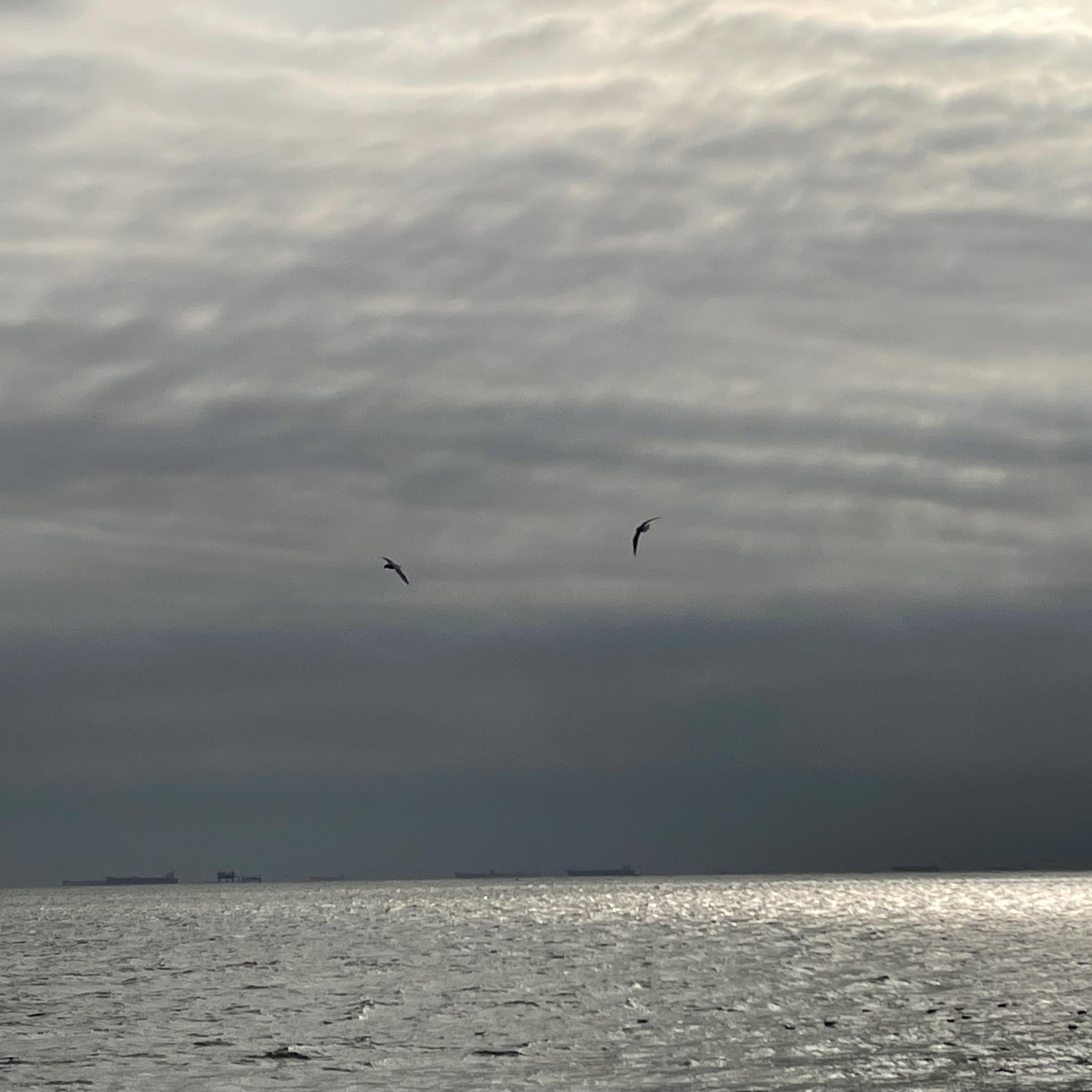 安和桥(cover:宋冬野)