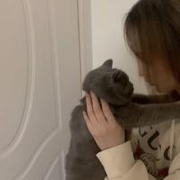 野萌