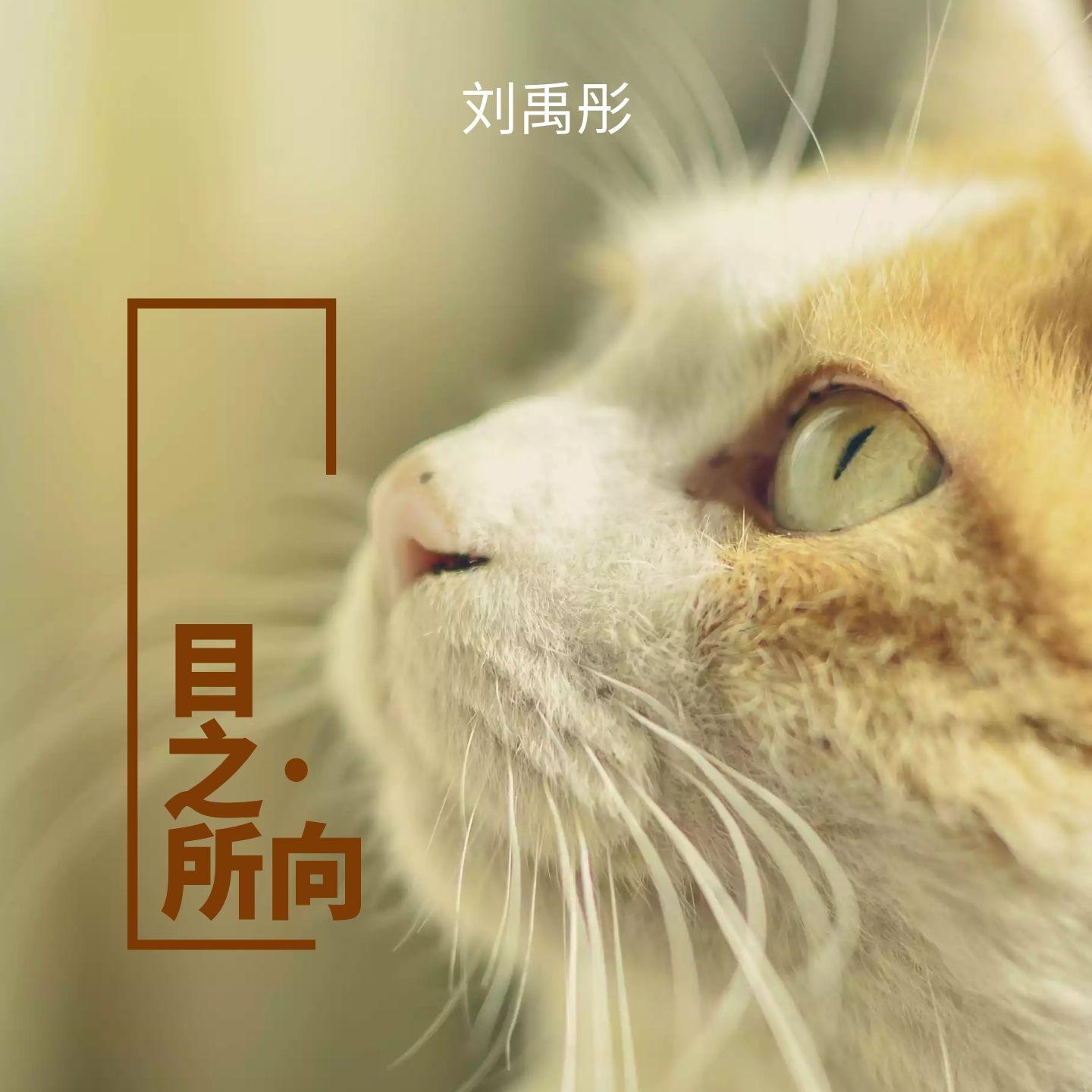 目光封面