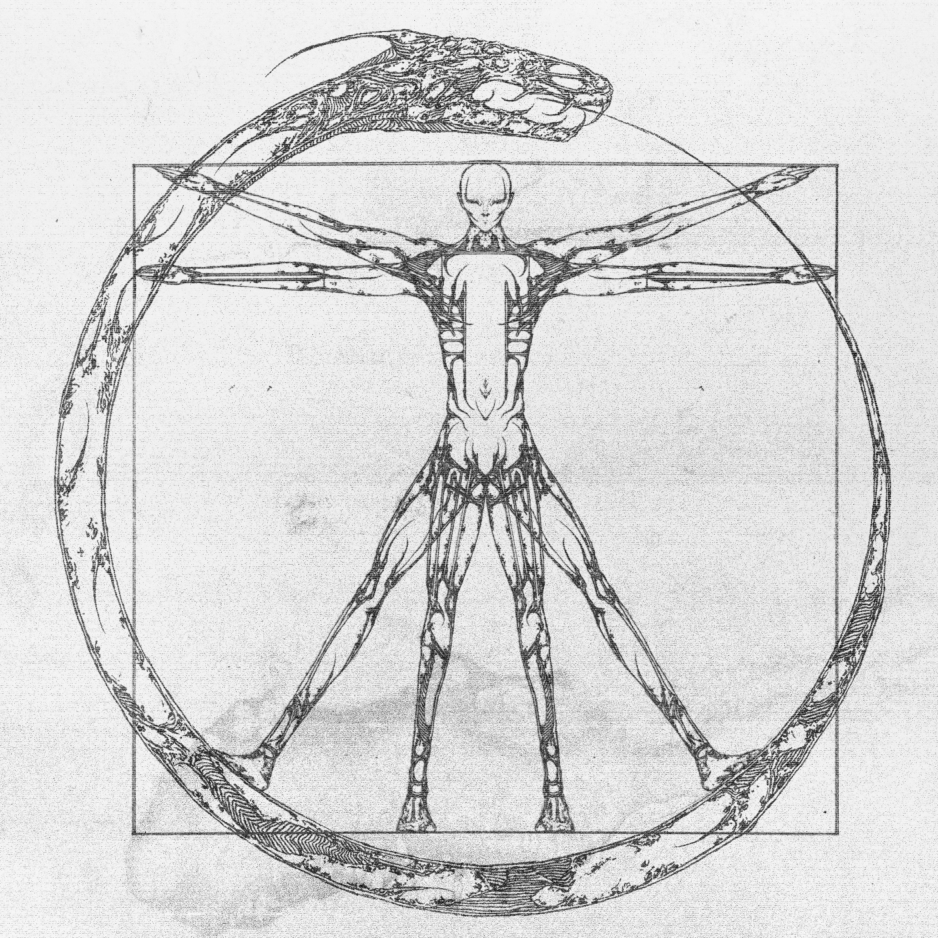 The General Zapped An Angel