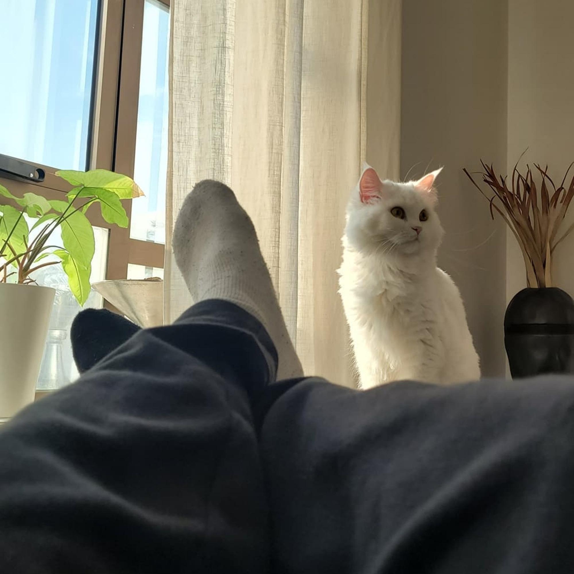 tell me how i don't love you