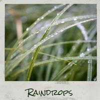 Raindrops