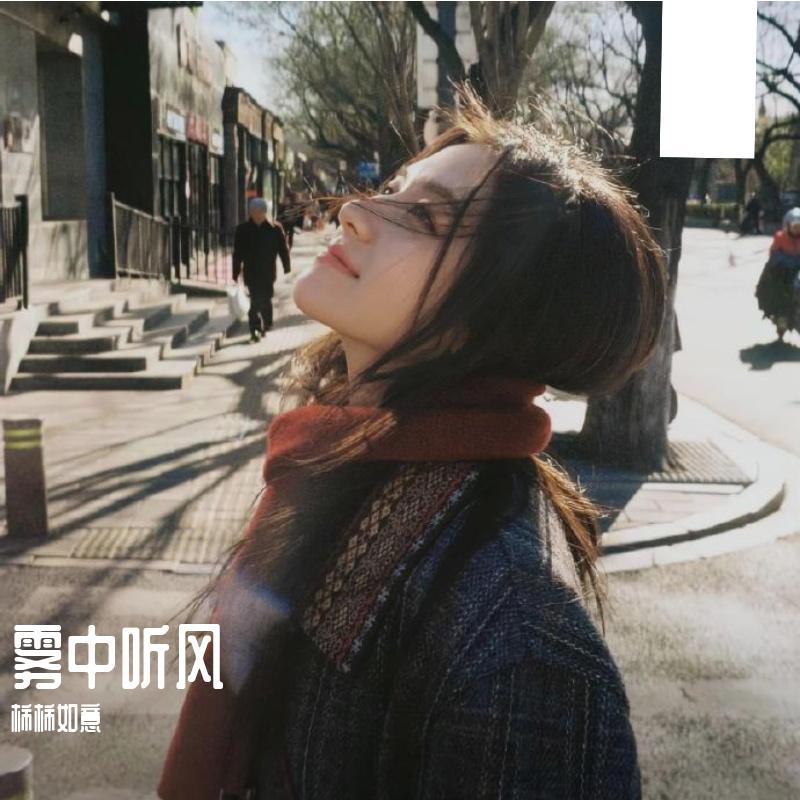 穿过风来爱你封面