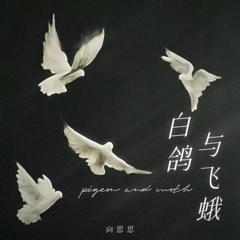 白鸽与飞蛾 (纯伴奏)封面