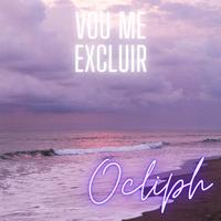 Vou Me Excluir