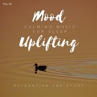 Mood Uplifting - Calming Music For Sleep, Relaxation And Study, Vol. 08