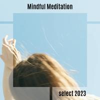 Mindful Meditation Select 2023