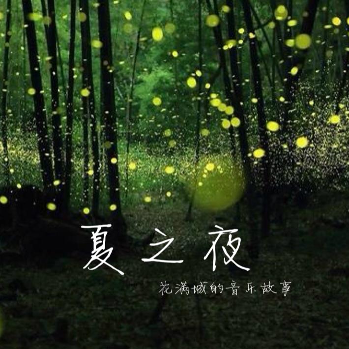 黑夜之光封面