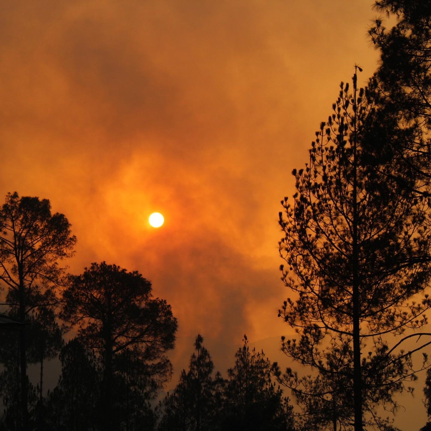 Thelema Slowed + Reverb