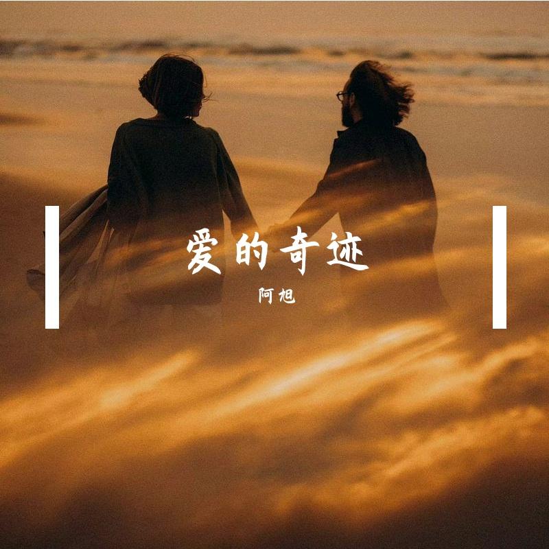 爱的奇迹封面