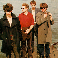 Echo & the Bunnymen