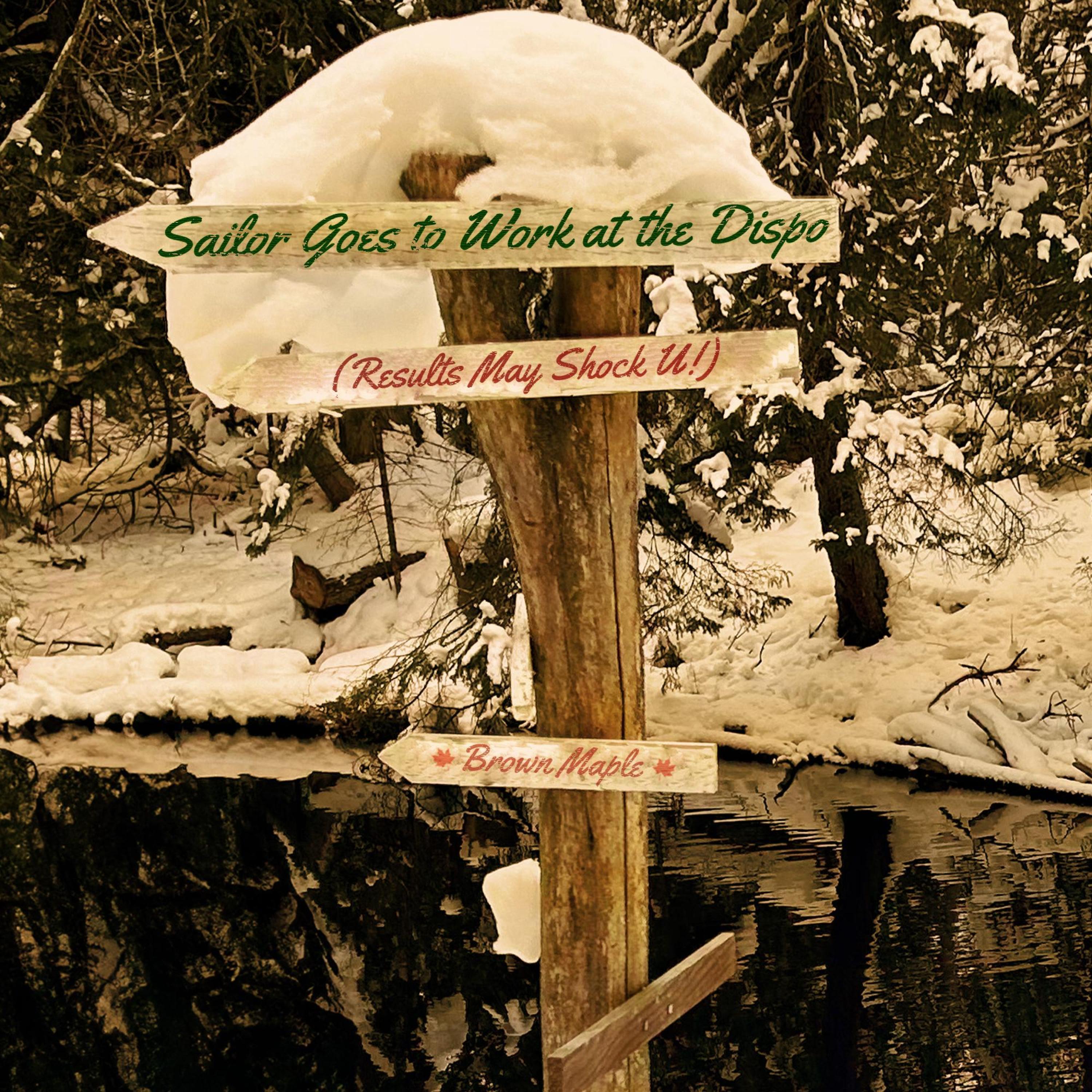 Sailor Goes to Work at the Dispo (Results May Shock U!)