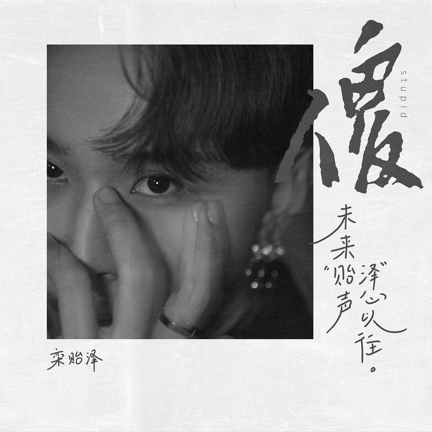 傻_栾贻泽Felix_傻 | 在线播放_傻歌词_傻下载 | 网易云音乐