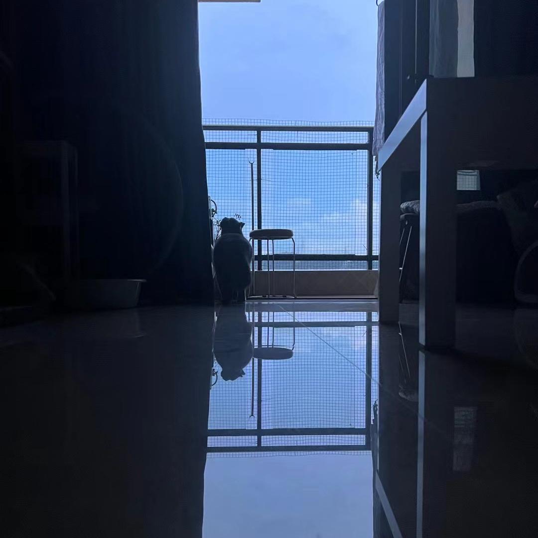 别哭了哎呦喂封面