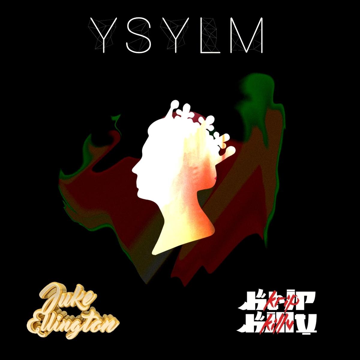 YSYLM (Original Mix)