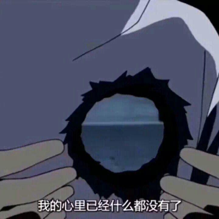 握不住的月亮封面