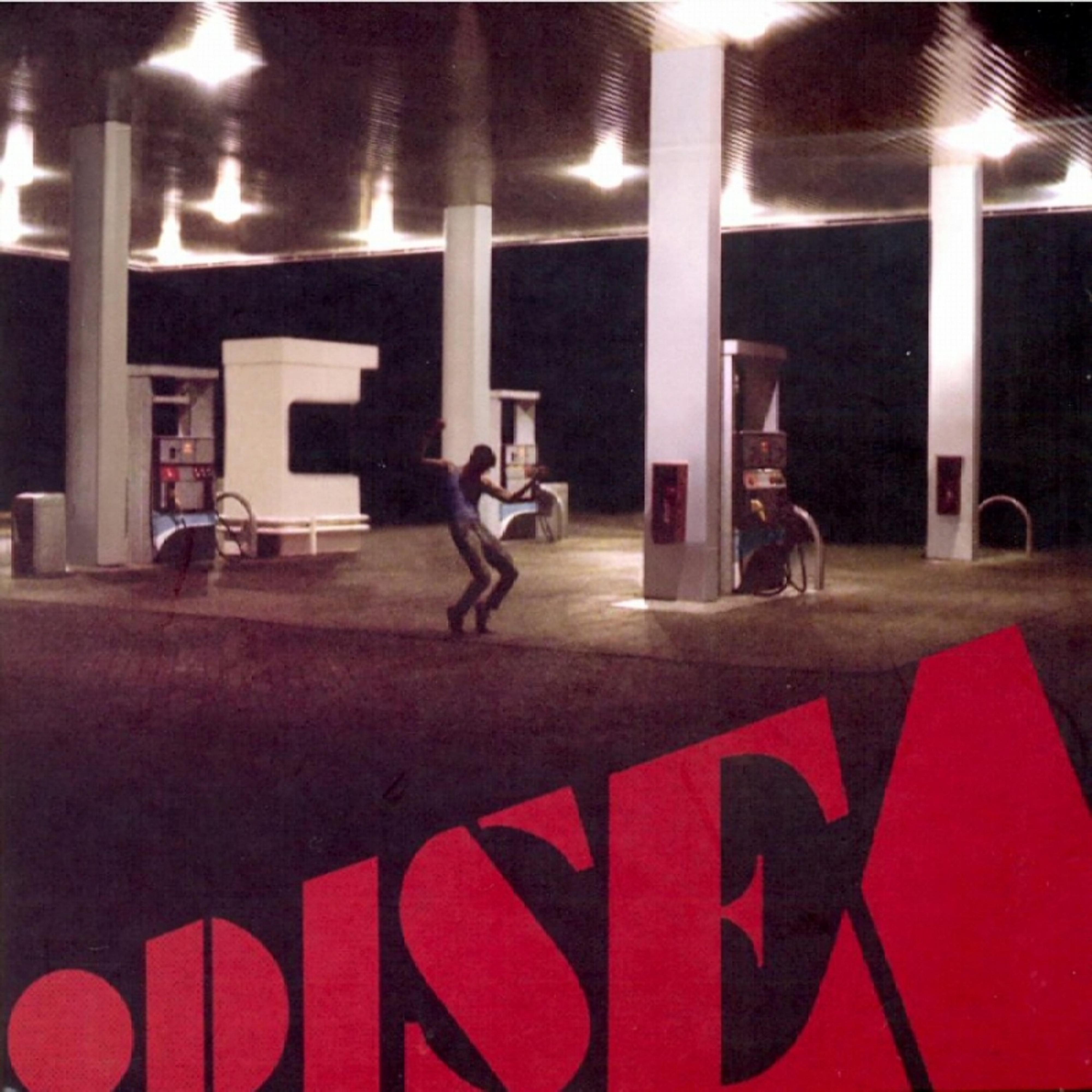 Los Gatitos Hermanos Se Reconocen Después de Años?