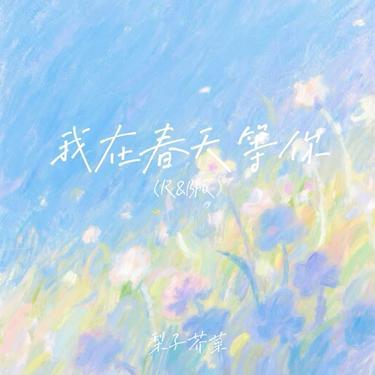 我在春天等你 (R&B版)封面