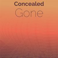 Concealed Gone