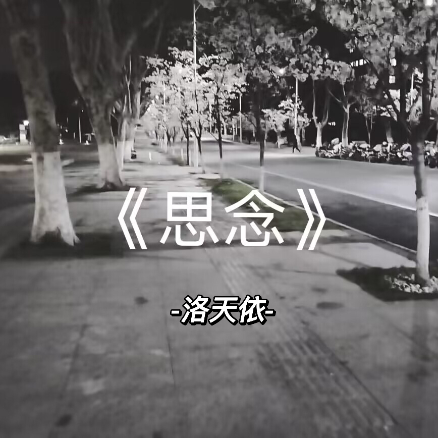 思念封面