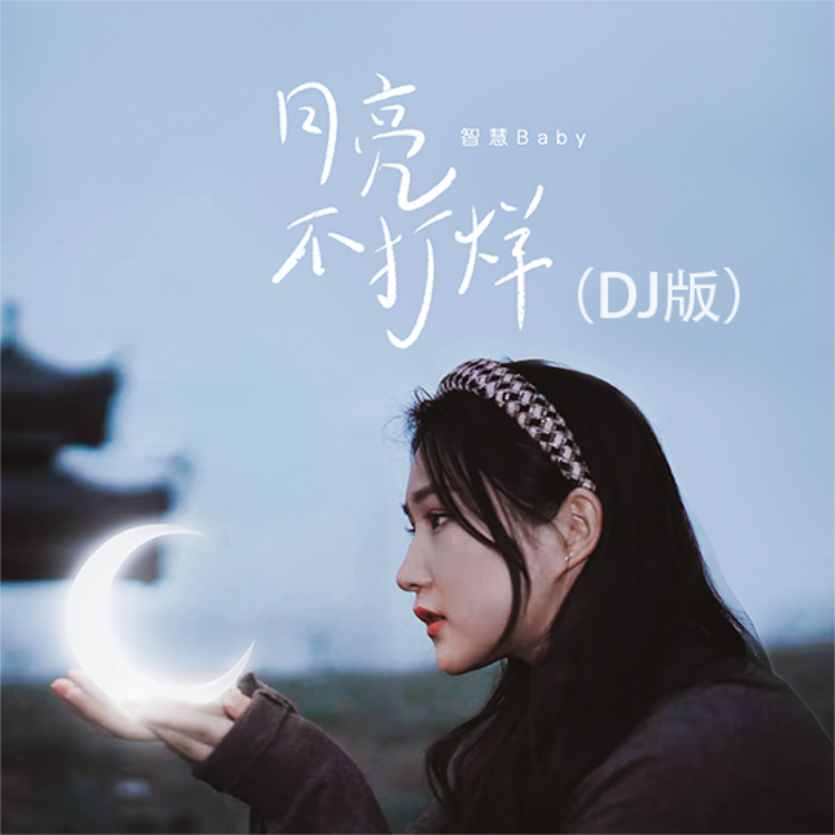 月亮不打烊 (DJ版伴奏)封面