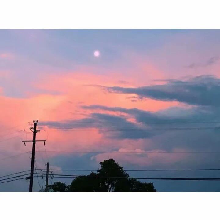 白茶清欢封面