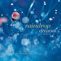 Raindrop Dreams