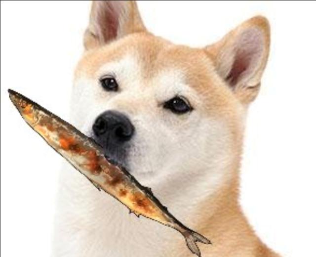 じょん