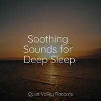 Soothing Sounds for Deep Sleep