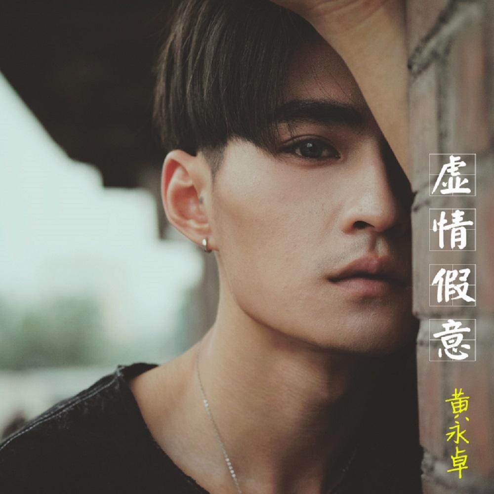虚情假意封面