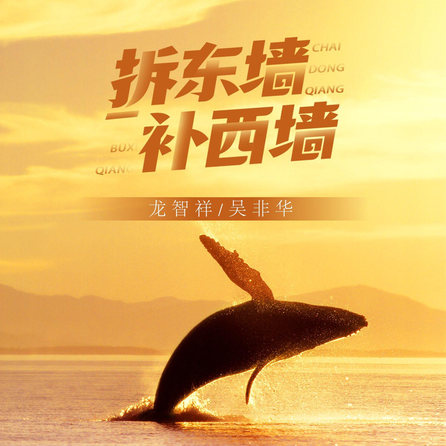 拆东墙补西墙封面